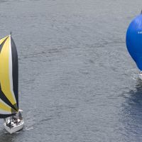 2022 01 15 Chaos and Bedlam MF11351