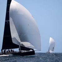 Back 2 Black  on left  and Daguet 2 today   David Staley  MHYC pic